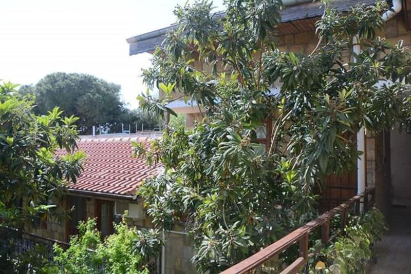 Antonios Motel Side Eksteriør bilde